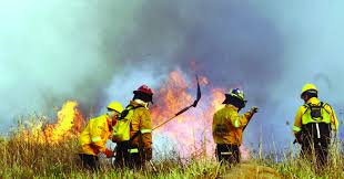 Incendios en la Chiquitanía: alerta temprana y planes de contingencia